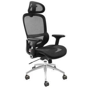 Review OMS Scaun birou ergonomic tetiera rotile reglabile 130kg