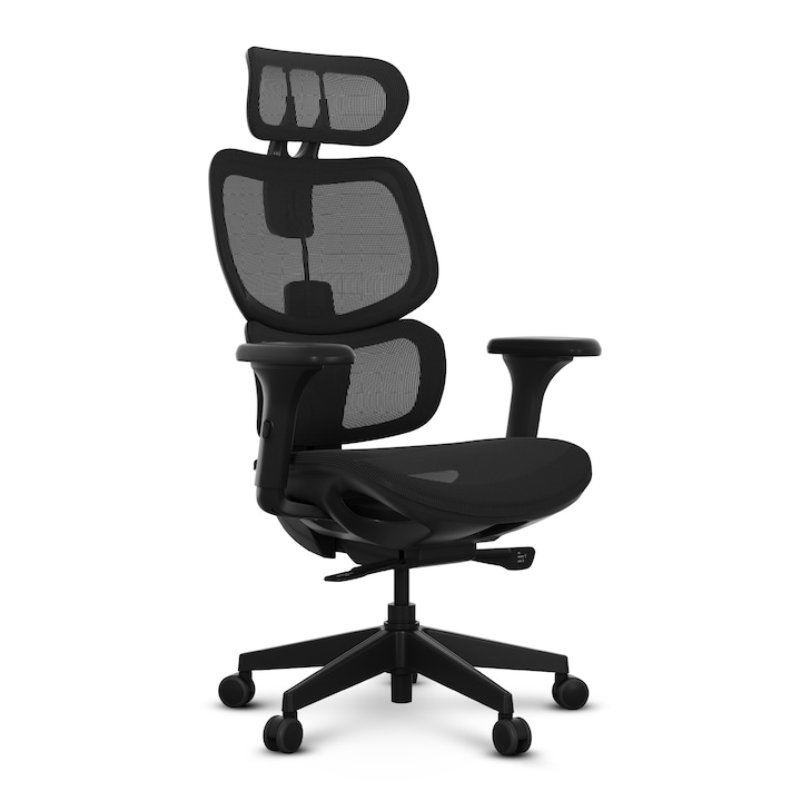 Review SENSE7 Nobu Scaun de birou Ergonomic Suport lombar Mesh Negru