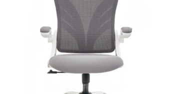 Review HOLLUDLE Scaun birou ergonomic spatar rabatabil suport lombar 1136 Kg