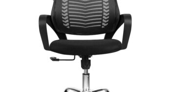 Review OEM Scaun birou Dena ergonomic suport lombar negru