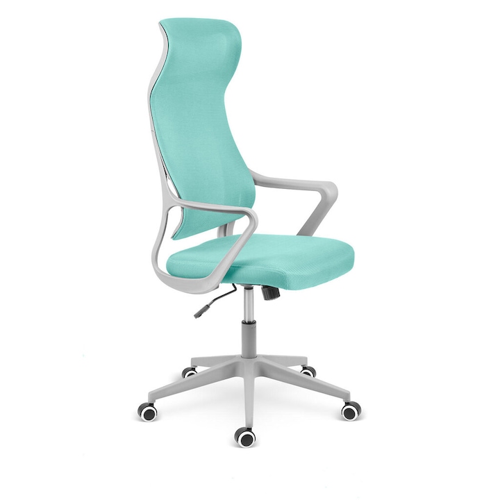 Review Sofotel Labi Scaun birou ergonomic suport brate reglabil 120kg