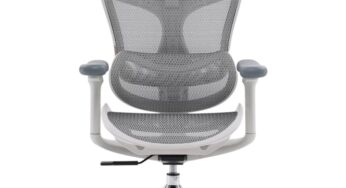 Review SIHOO Scaun ergonomic Doro C300L spatar reglabil suport lombar ajustabil