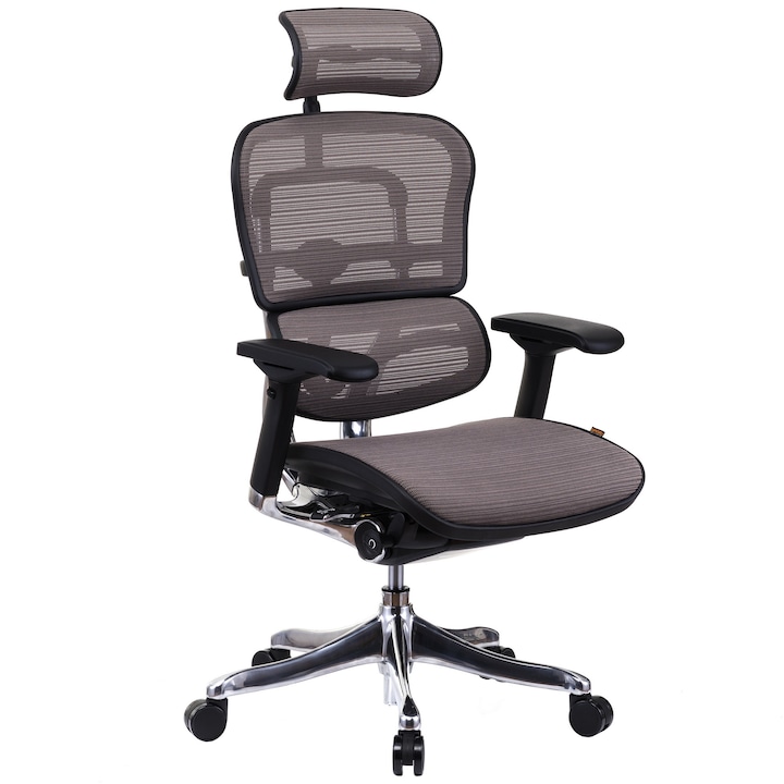 Review Ergohuman Scaun QMOBILI Ergohuman v2 Plus Elite Mesh Gri Tetiera 2D Brate 4D
