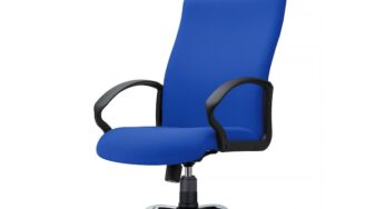 Review Traffic Chairs Hugo P Scaun ergonomic,brate,spatar,balans,120 Kg,textil,Neasamblat,Albastru