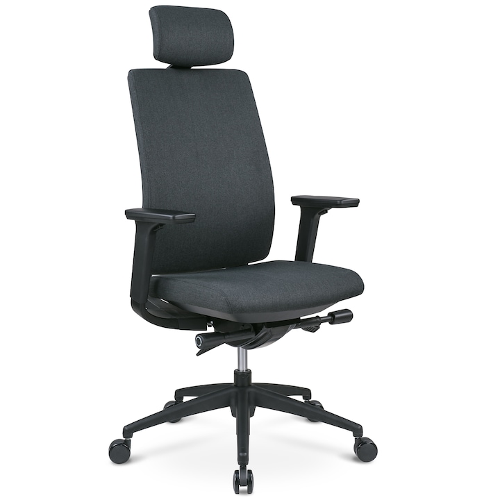 Review StableDesk ANTARES Scaun ergonomic Ajustabil pe inaltime Suport lombar reglabil