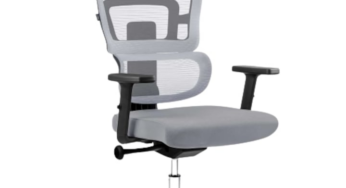 Review DacEnergy Scaun de birou ergonomic cu tetiera reglabila balansare gri