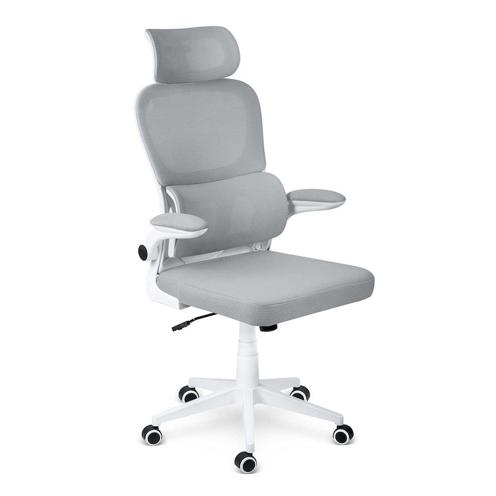 Review SOFOTEL Formax Scaun birou ergonomic spatar reglabil suport lombar 120kg