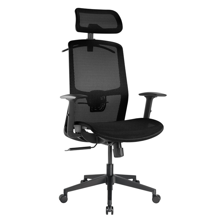 Review StableDesk StableChair™ Ergo Pro Scaun birou ergonomic suport lombar