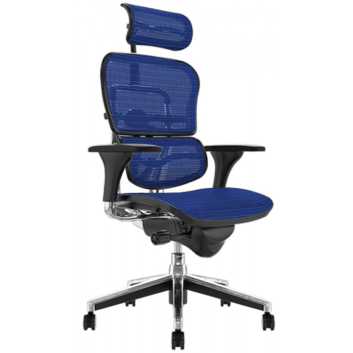 Review Ergonica ERGOHUMAN Plus scaun birou ergonomic reglabil suport lombar